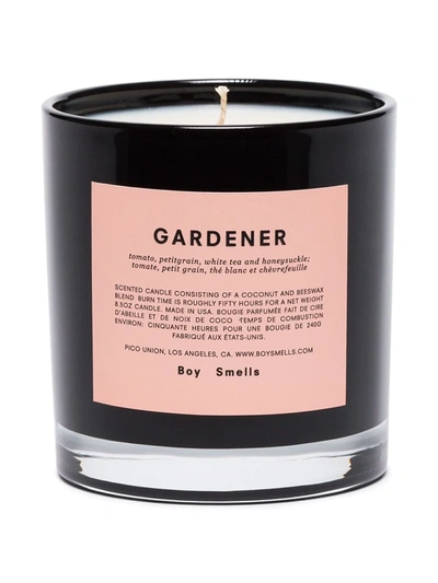Shop Boy Smells Gardener Candle (240g) In Black