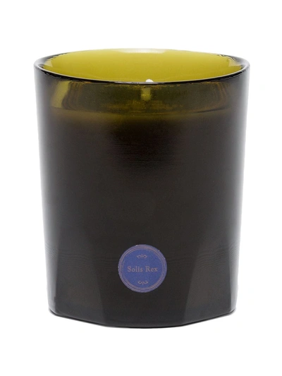 Cire Trudon Green And White Solis Rex Candle In Green