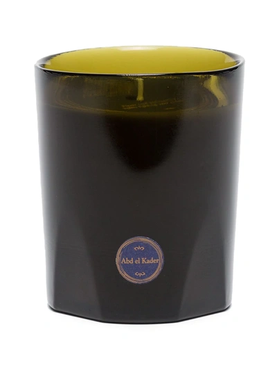 Cire Trudon Green And White Abd El Kader Candle In Green