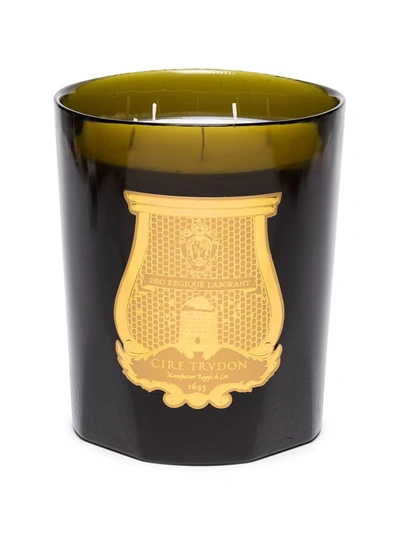 Shop Cire Trudon Ernesto Scented Candle (2.8kg) In Green