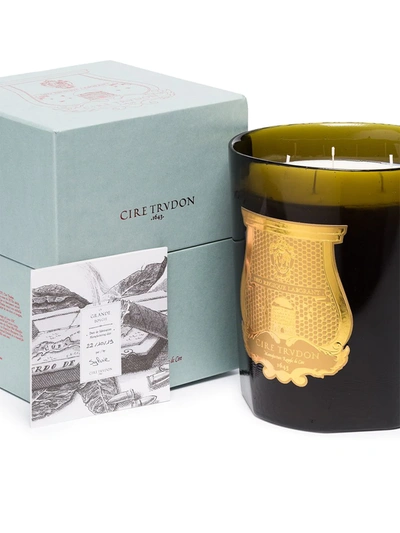 Shop Cire Trudon Ernesto Scented Candle (2.8kg) In Green