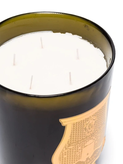 Cire Trudon Ernesto Scented Candle (2.8kg) In Green
