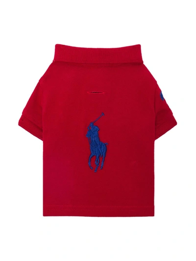 Shop Polo Ralph Lauren Logo Applique Dog Polo Shirt In Red