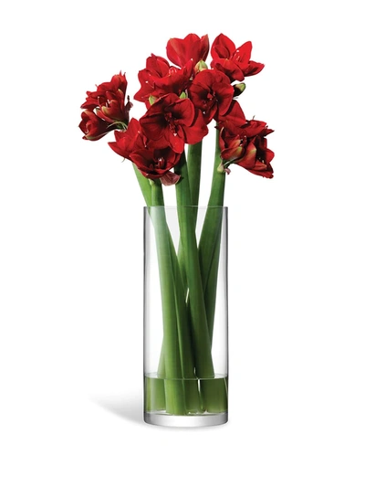 Lsa International Column Large Glass Vase In Neutrals