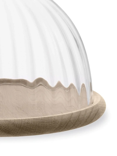 Shop Lsa International Aurelia Glass Dome And Oak Base In Neutrals