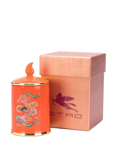 Shop Etro Amber Wood Ceramic Candle (500g) In Orange