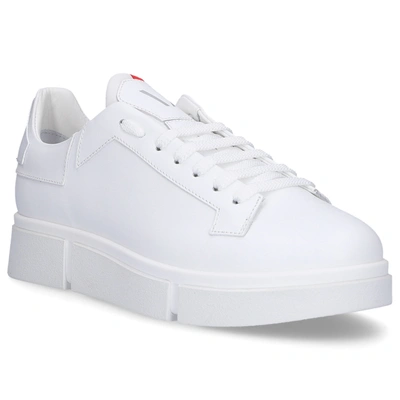 Shop V Design Low-top Sneakers Wsr01 Calfskin In White