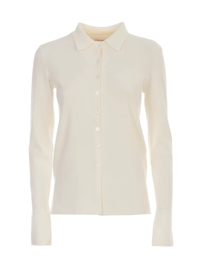 Shop Liviana Conti Plain Knit Shirt W/collar In Moonstone