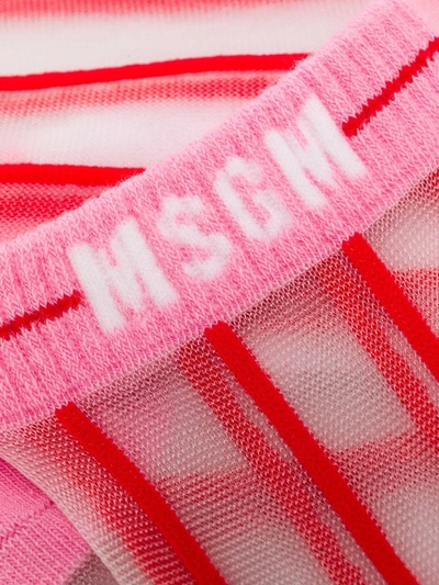 Msgm Striped Sheer Socks In Pink
