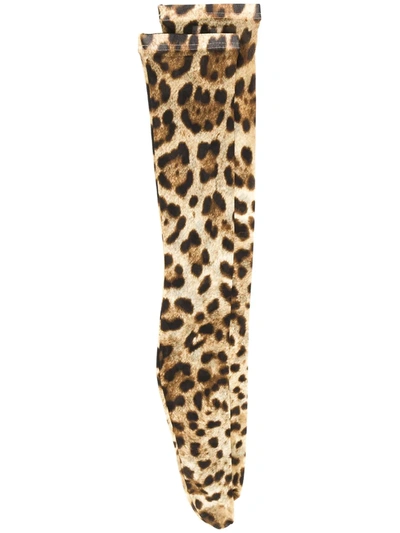 Shop Dolce & Gabbana Leopard Print Socks In Neutrals