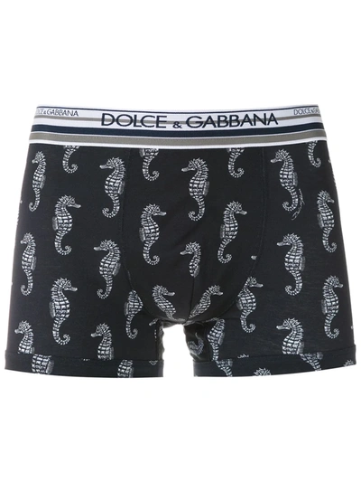Shop Dolce & Gabbana Seahorse Print Boxer Shorts In Blue