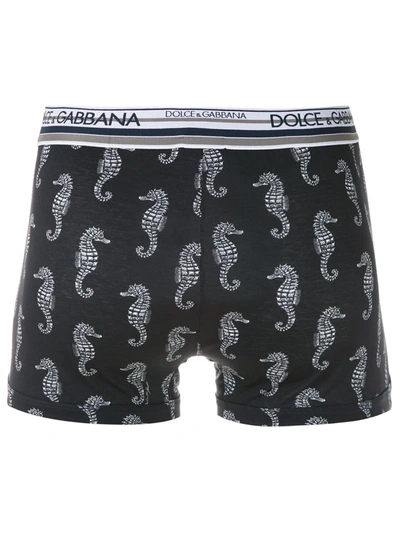 Shop Dolce & Gabbana Seahorse Print Boxer Shorts In Blue