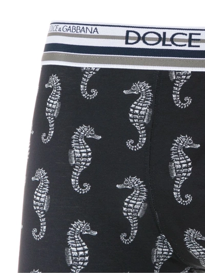 Shop Dolce & Gabbana Seahorse Print Boxer Shorts In Blue