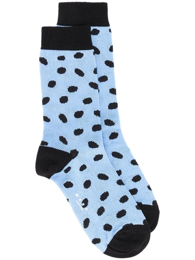 Shop Marni Polka Dot Socks In Blue