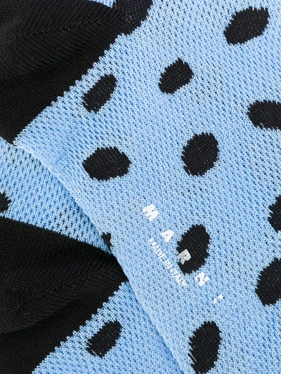 Shop Marni Polka Dot Socks In Blue