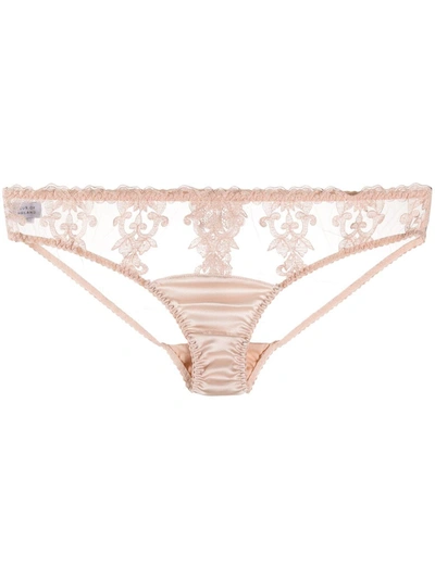 Shop Fleur Of England Dahlia Briefs In Pink