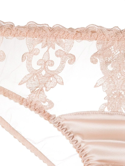 Fleur Of England Dahlia Briefs In Pink