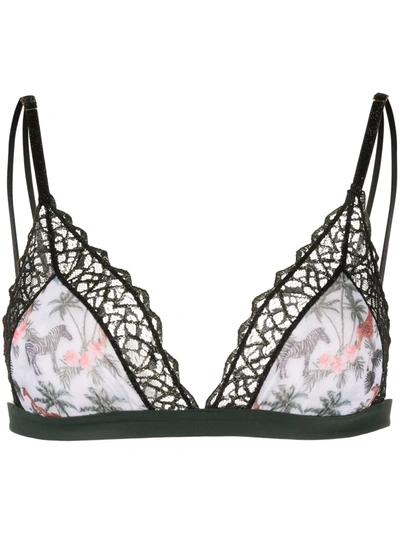 Shop Dolci Follie Zebra Soft Triangle Bra In Black