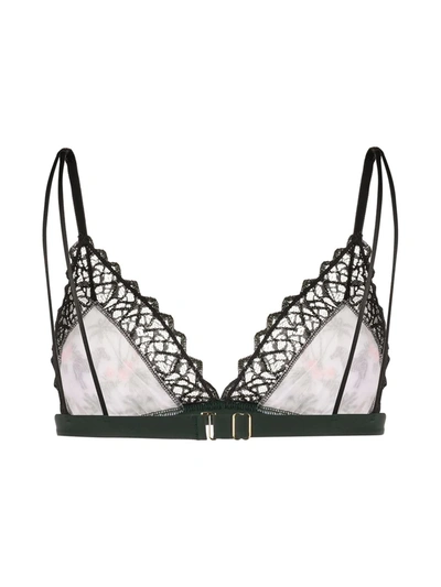 Shop Dolci Follie Zebra Soft Triangle Bra In Black