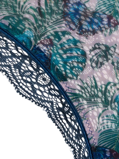 Dolci Follie Butterfly Brazilian Briefs In Blue