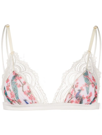 Shop Dolci Follie Peacock Print Triangle Bra In White