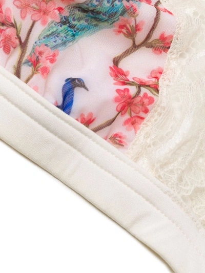 Dolci Follie Peacock Print Triangle Bra In White