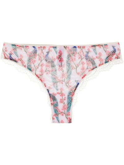 Shop Dolci Follie Peacock Print Brazilian Briefs In White