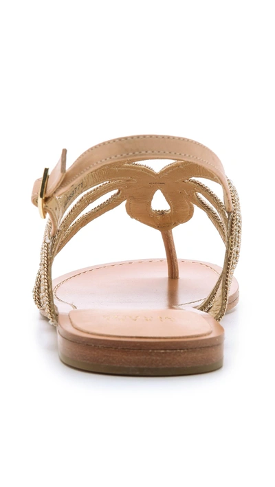 Shop Stuart Weitzman Thongshow Sandals In Gold/crystal