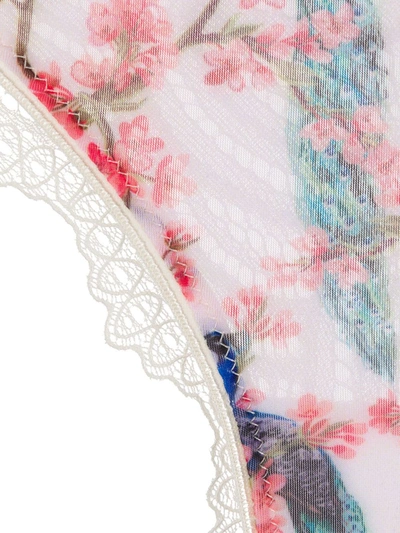 Dolci Follie Peacock Print Brazilian Briefs In White