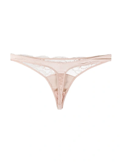 Shop Fleur Of England Sig Lace Thong In Neutrals