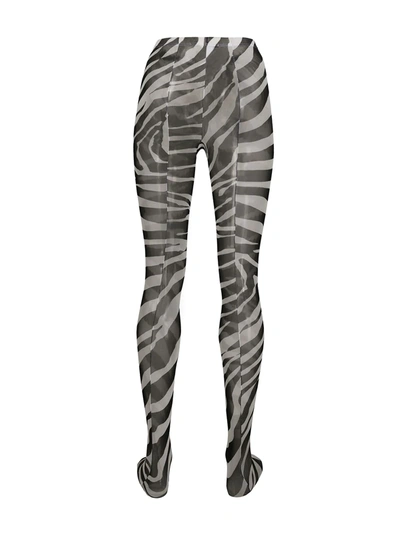 Shop Dolce & Gabbana Zebra Print Tights In Black