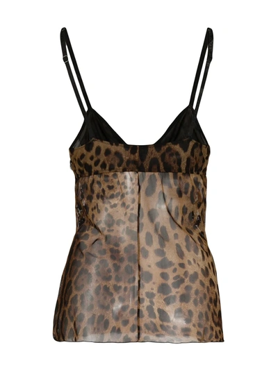 Shop Dolce & Gabbana Leopard Print Camisole In Brown