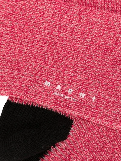Shop Marni Logo Ribbed Ankle Socks In Red
