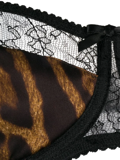 Shop Dolce & Gabbana Leopard-print Lace-insert Bra In Black