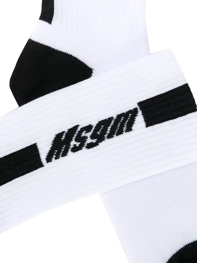 Shop Msgm Logo Cotton Socks In White