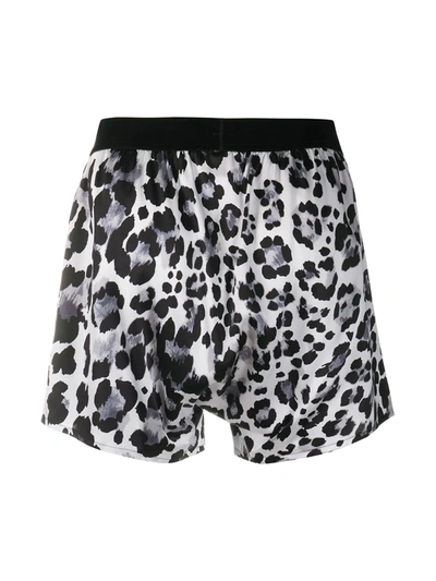 Shop Tom Ford Leopard-print Boxer Shorts In White