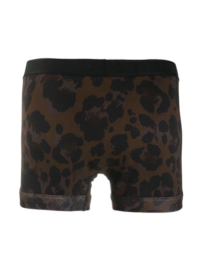 Shop Tom Ford Leopard-print Boxers In Black