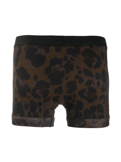 Tom Ford Leopard-print Boxers In Black