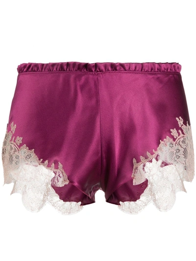 Shop Carine Gilson Floaty Lace Shorts In Purple