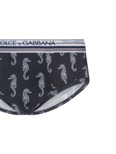 Shop Dolce & Gabbana Seahorse Print Briefs In Blue