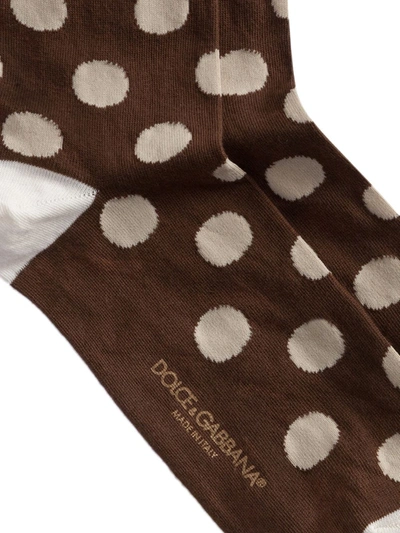 Shop Dolce & Gabbana Polka Dot Knee-high Socks In Brown