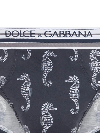 Shop Dolce & Gabbana Seahorse-print Briefs In Blue