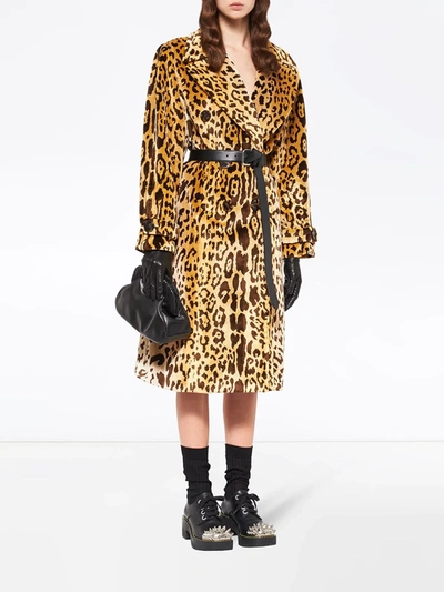 Shop Miu Miu Double-breasted Leopard Coat In Brown