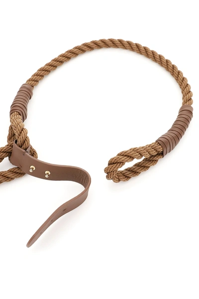 Shop Max Mara Vespa Braided Rope Belt In Cuoio