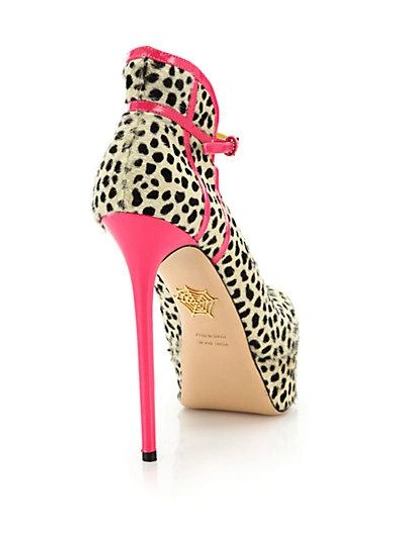 Shop Charlotte Olympia Lucille Printed Calf Hair & Leather Platform Pumps In Cheetah