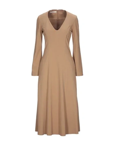 Shop Liviana Conti Midi Dresses In Camel