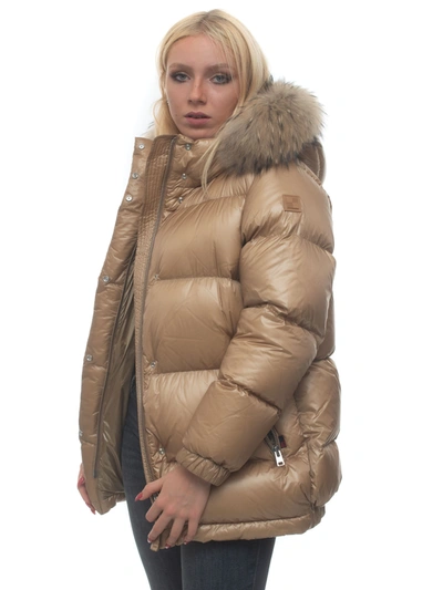 Shop Woolrich Aliquippa Parka Hooded Harrington Jacket Gold Polyamide Woman