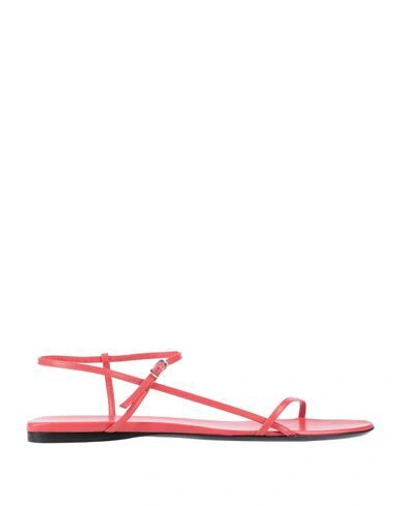 Shop The Row Sandals In Coral