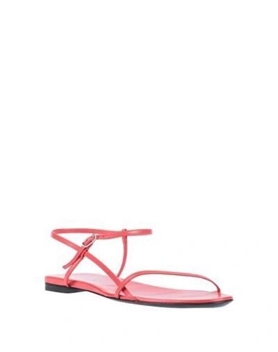 Shop The Row Sandals In Coral