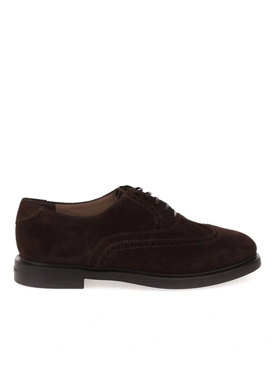 Shop Ferragamo Suede Leather Lace-ups In Brown
